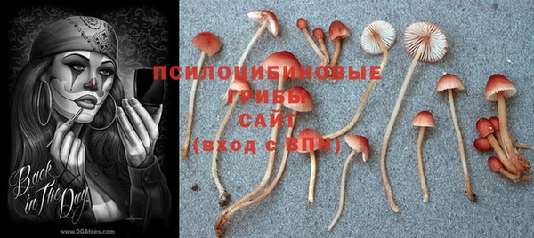 кокс Навашино