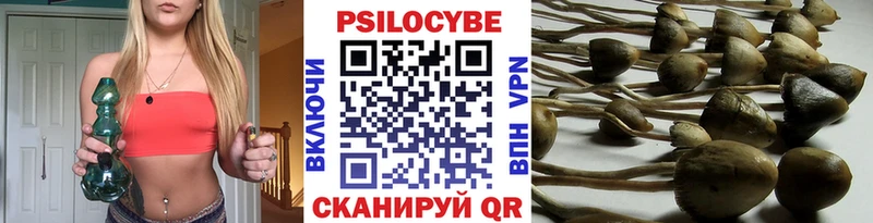 Галлюциногенные грибы Psilocybine cubensis  Комсомольск-на-Амуре 