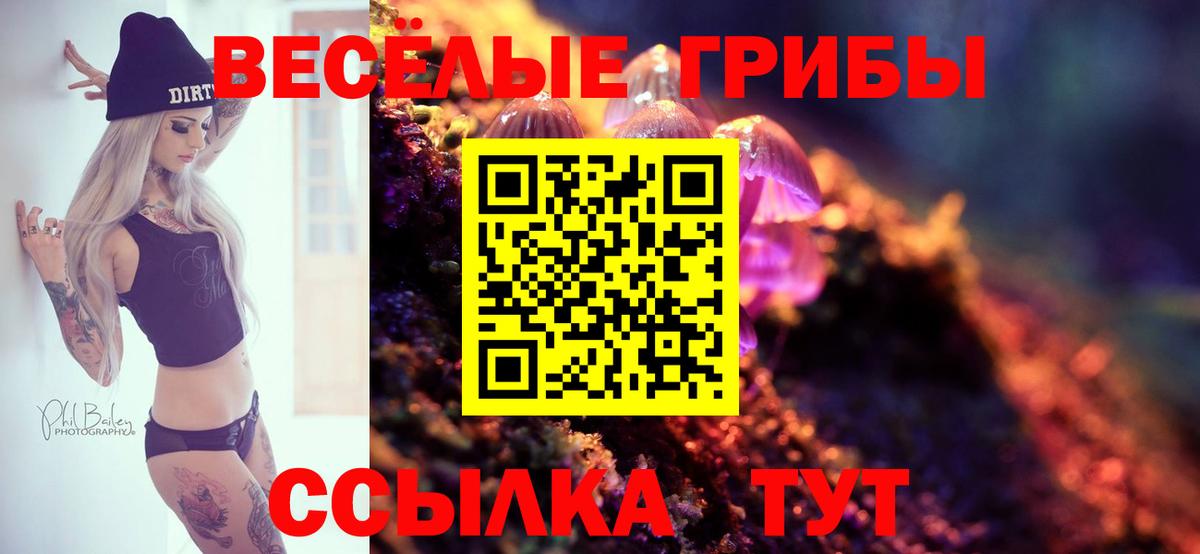 Комсомольск-на-Амуре  Псилоцибиновые грибы мухоморы  Вход с VPN 