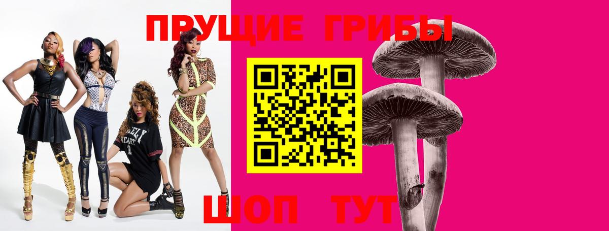 Галлюциногенные грибы GOLDEN TEACHER  Псилоцибиновые грибы Psilocybe  наркошоп  Вход с VPN  Комсомольск-на-Амуре 